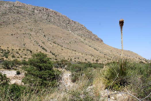 瓜達洛普山國家公園 (Guadalupe Mountains National Park)惡魔大廳