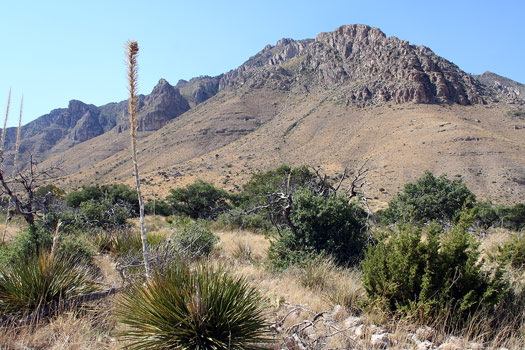 瓜達洛普山國家公園 (Guadalupe Mountains National Park)Pinery步道