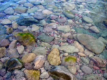 皇家島 (Isle Royale National Park) 國家公園 史考維步道 (Scoville Trail)