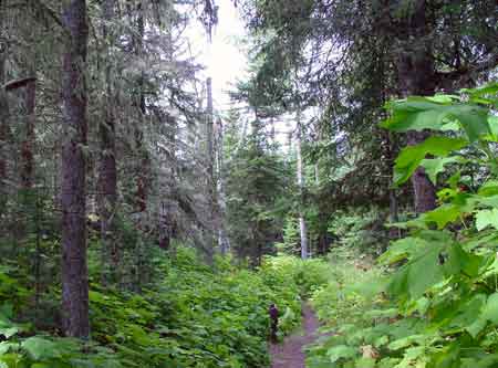 皇家島 (Isle Royale National Park) 國家公園 蘇西洞步道 (Suzy's Cave)