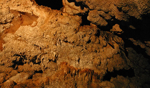 寶石洞窟 (Jewel Cave National Monument)