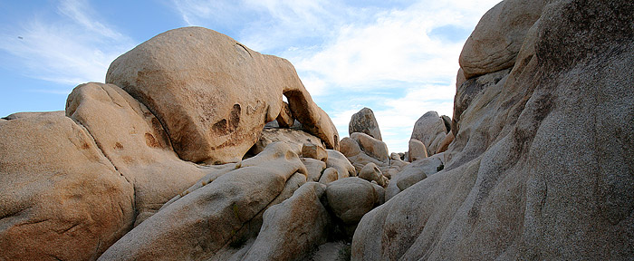 約書亞樹國家公園 (Joshua Tree National Park) 
Arch Rock