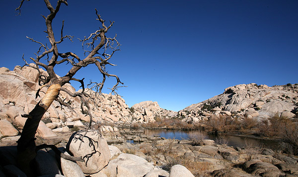 約書亞樹國家公園 (Joshua Tree National Park) 
Barker Dam