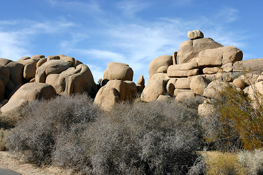 約書亞樹國家公園 (Joshua Tree National Park) 
Jumbo Rocks