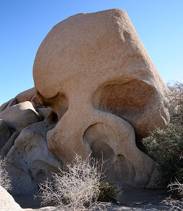 約書亞樹國家公園 (Joshua Tree National Park) 
Skull Rock