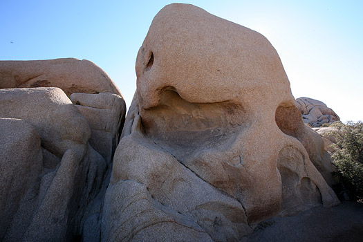 約書亞樹國家公園 (Joshua Tree National Park) 
Skull Rock