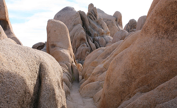 約書亞樹國家公園 (Joshua Tree National Park) 
Rocks