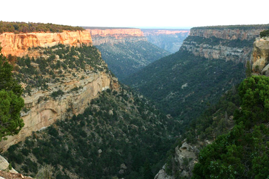 維德台地國家公園 (Mesa Verde National Park)