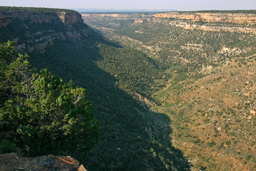 維德台地國家公園 (Mesa Verde National Park)