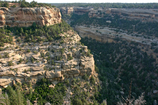 維德台地國家公園 (Mesa Verde National Park)