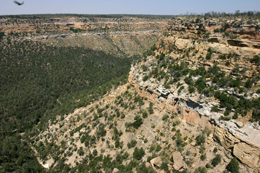 維德台地國家公園 (Mesa Verde National Park)