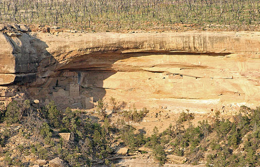 維德台地國家公園 (Mesa Verde National Park)