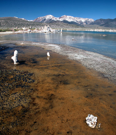 莫諾湖 (Mono Lake)