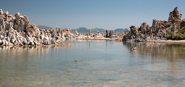 莫諾湖 (Mono Lake)