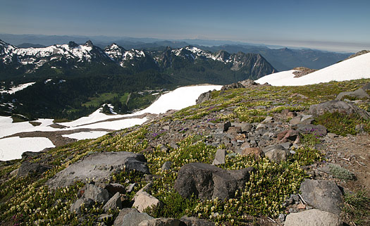 雷尼爾山國家公園 (Mount Rainier National Park) 
Skyline Trail