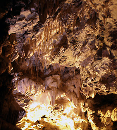 奧勒岡洞窟國家保護區 (Oregon Caves National Monument)