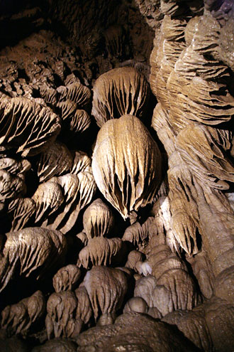 奧勒岡洞窟國家保護區 (Oregon Caves National Monument)