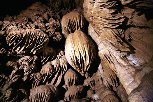 奧勒岡洞窟國家保護區 (Oregon Caves National Monument)