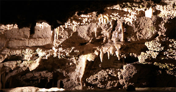 奧勒岡洞窟國家保護區 (Oregon Caves National Monument)