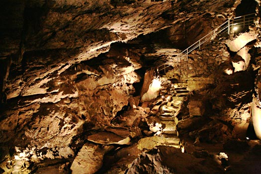 奧勒岡洞窟國家保護區 (Oregon Caves National Monument)
