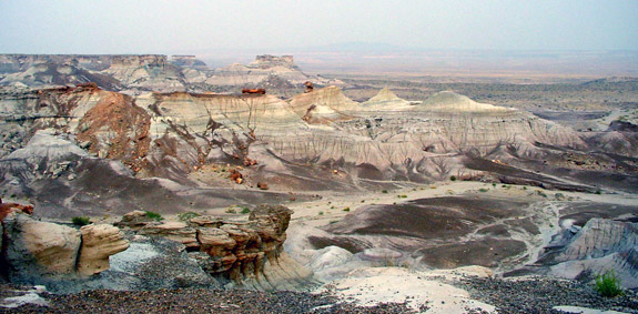 石化森林國家公園 (Petrified Forest National Park) 
藍坪 (Blue Mesa)