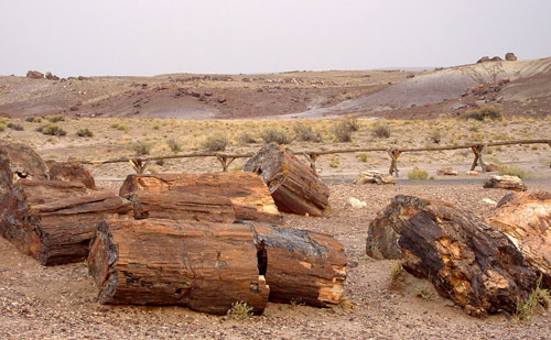 石化森林國家公園 (Petrified Forest National Park) 
琉璃森林 (Crystal Forest)