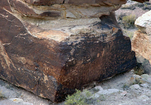 石化森林國家公園 (Petrified Forest National Park) 
報紙岩