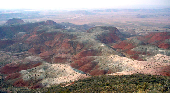 石化森林國家公園 (Petrified Forest National Park) 
彩繪沙漠 (Painted Desert)