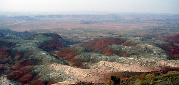 石化森林國家公園 (Petrified Forest National Park) 
彩繪沙漠 (Painted Desert)