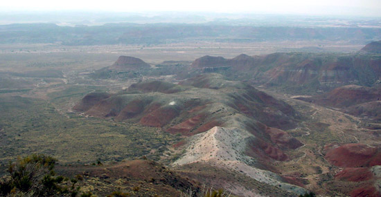 石化森林國家公園 (Petrified Forest National Park) 
彩繪沙漠 (Painted Desert)