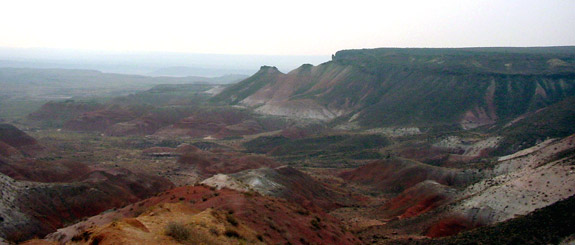 石化森林國家公園 (Petrified Forest National Park) 
彩繪沙漠 (Painted Desert)