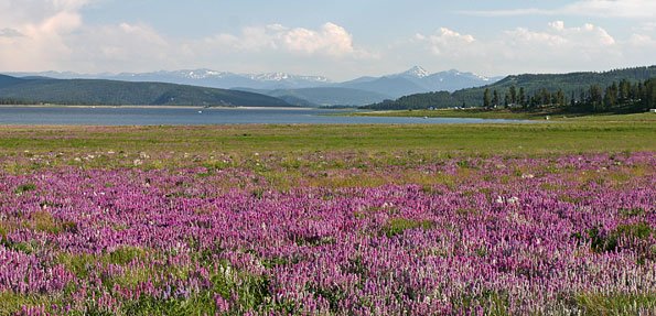 洛磯山國家公園 (Rocky Mountain National Park)