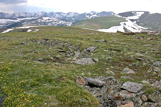 洛磯山國家公園 (Rocky Mountain National Park)