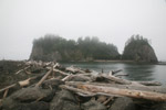 奧林匹克國家公園 (Olympic National Park)