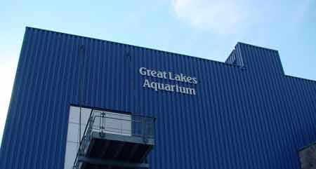 杜魯市 (Duluth) 大湖水族館 (Great Lakes Aquarium)