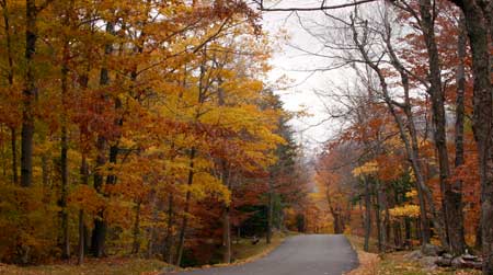 新罕布什爾 (New Hampshire) 華盛頓山楓葉