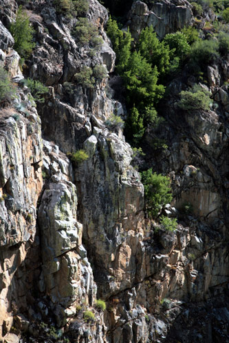 紅杉與國王峽谷國家公園 (Sequoia and Kings Canyon National Park) 
國王峽谷 (Kings Canyon)