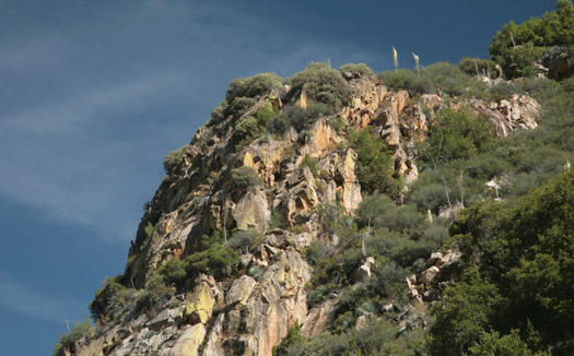 Sequoia snd Kings Canyon National Park 
國王峽谷 (Kings Canyon)