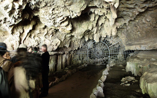 紅杉與國王峽谷國家公園 (Sequoia and Kings Canyon National Park) 
Crystal Cave