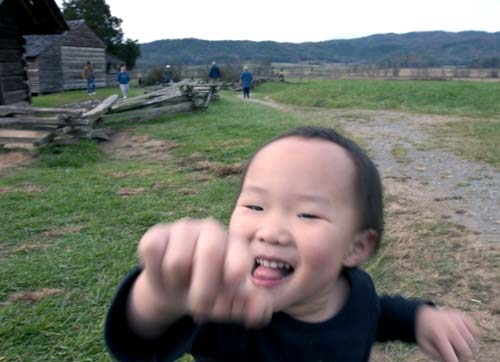 大煙山Lawson/Tipton