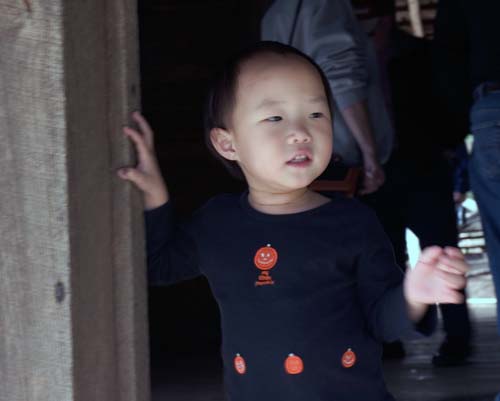 大煙山Olivers之屋