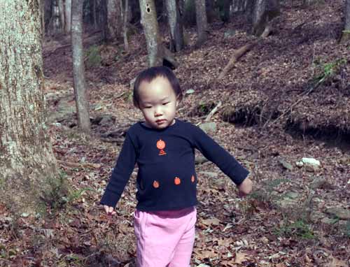 大煙山Olivers之屋