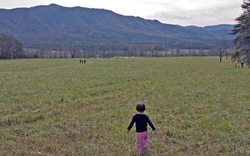 大煙山Olivers之屋
