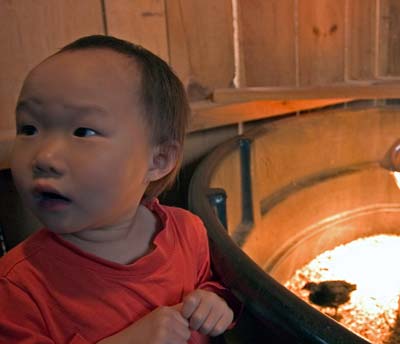 Biltmore旅館和農場