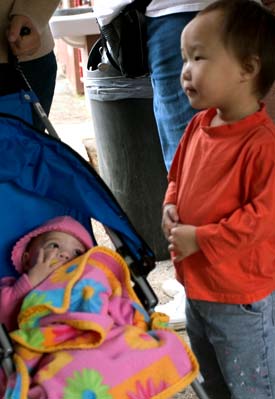 Biltmore旅館和農場