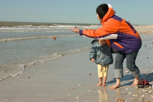 Sanibel海灘玩水撿貝殼