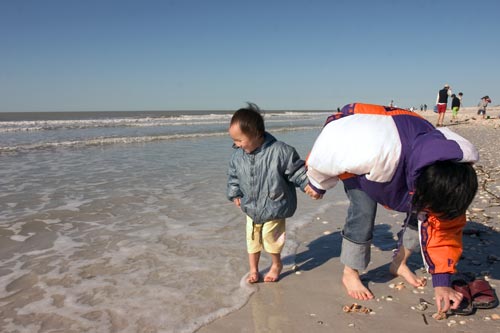 Sanibel海灘玩水撿貝殼