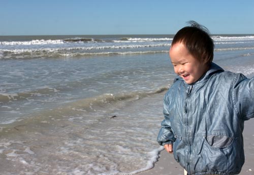 Sanibel海灘玩水撿貝殼