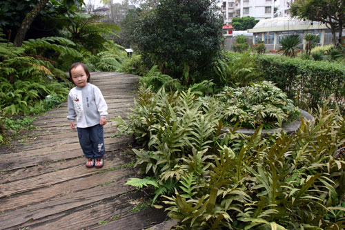 植物園