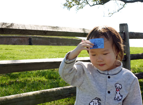 Fort McHenry